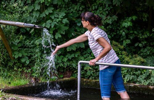 Ferienwohnungen Schwabenhof - Foto 26