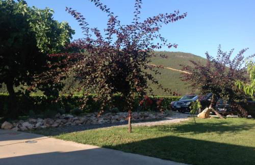 Quinta dos Castanheiros - Turismo Rural - Foto 71