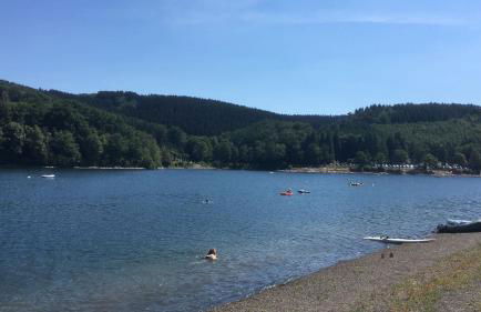 Ferienhaus an der Lister - Foto 24