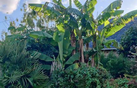 Longère de charme - Foto 26