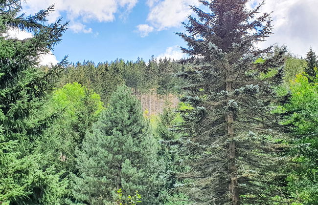 Karpacz Kowary - Foto 26