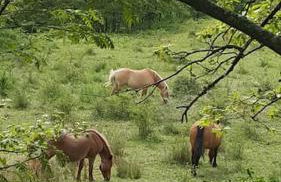 The house in the paradise of Serra. - Foto 41