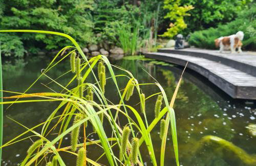 Sowi Dworek - Foto 21