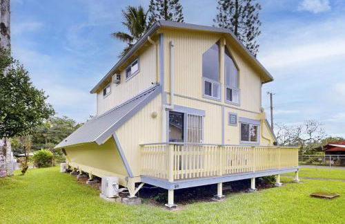 Sea Turtle Life - Photo 37