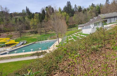 Les Papillons - Foto 10