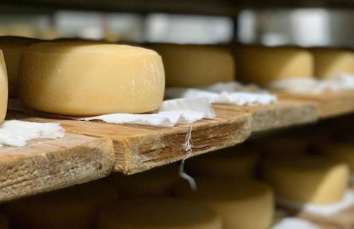 Lugar nas Estrelas Starlight - Foto 15