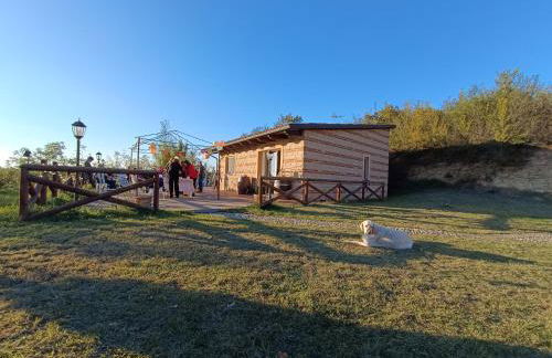 Tormalina rosa presso La Bordona - Foto 23