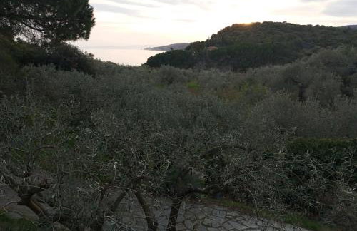 Villa Helga by the Sea - Photo 50