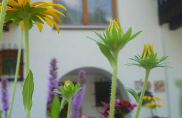 Fröhlichhof Wohnung Pink Lady - Foto 25