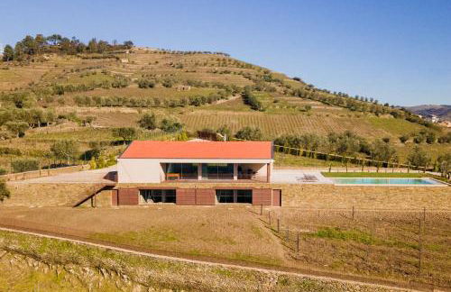 Douro Valley Luxury Home with Vineyard and Infinity Pool - Photo 30