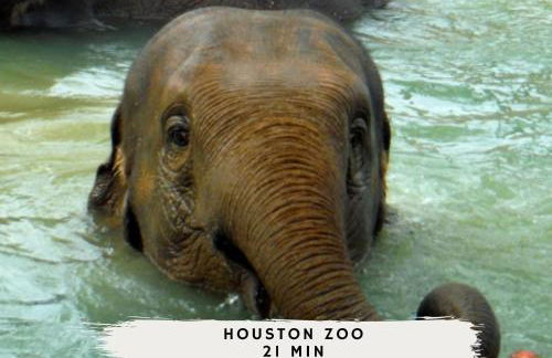 4-BD Mid-Modern Century with Firepit & Playground - Foto 42