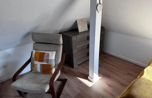 Au pieds du vignoble Colmarien - Foto 9