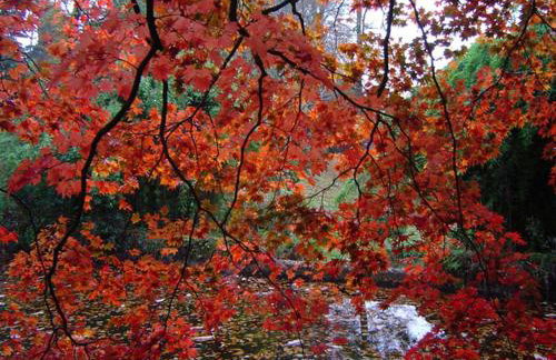 The Clock House - Foto 16