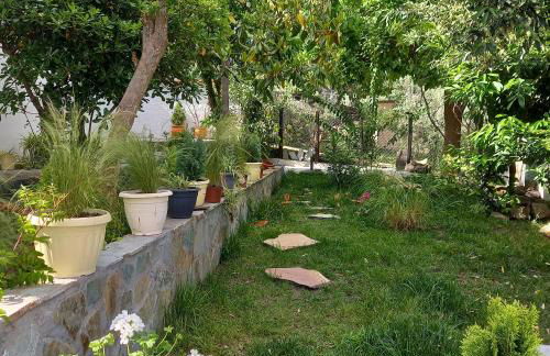 La Casa Di Elena - Foto 8