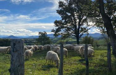 Entre mer et montagne AMA LUR - Foto 46