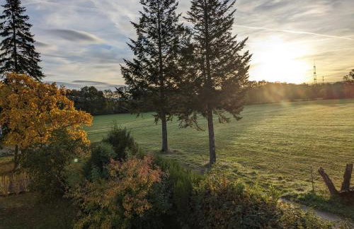 Badischer Neubau-Ruhe-Kunst-Natur - Foto 72