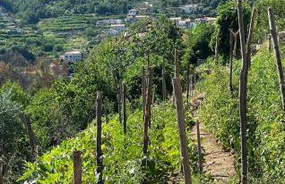 Amalfi Lodge - Foto 34