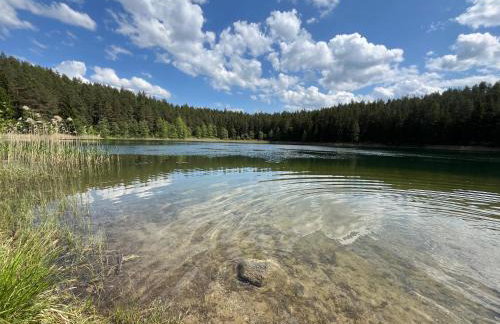 Domek wypoczynkowy Letnisko Sosenkowo - Foto 64
