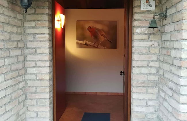 Agriturismo Il Pettirosso - Foto 20