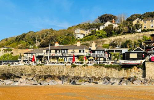 Lottie's Lookout, Ventnor with fantastic Sea Views - Foto 27