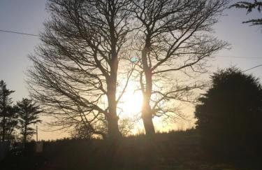 Binnian Gateway - Photo 26