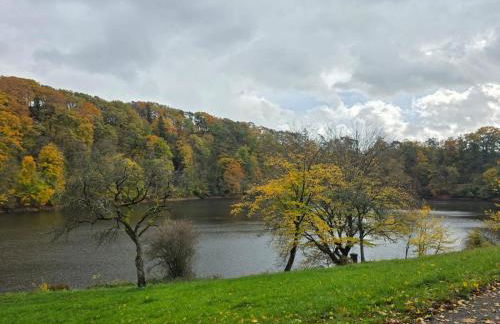 Ferienwohnung am Maarberg in Ulmen - Foto 12