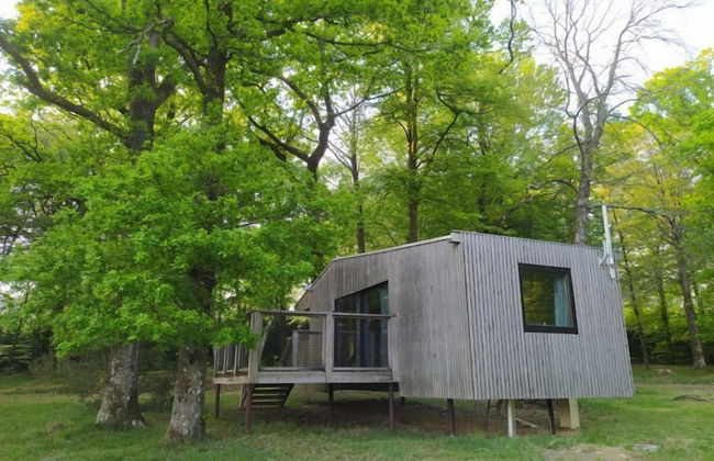 Etape en forêt - Foto 37