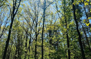 Apartament Jerzyn - Foto 43