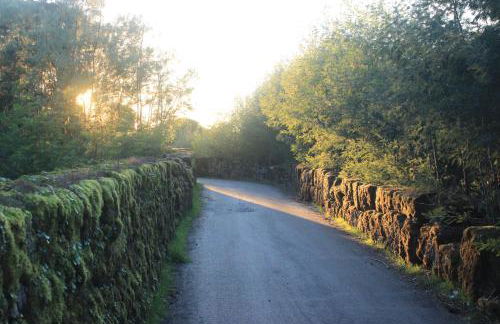 Fabulous 5 BR hidden gem Serra da Estrela - Foto 33