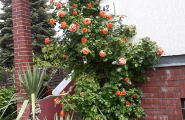 Ferienunterkunft in Berlin-Pankow Rosenthal - Foto 11