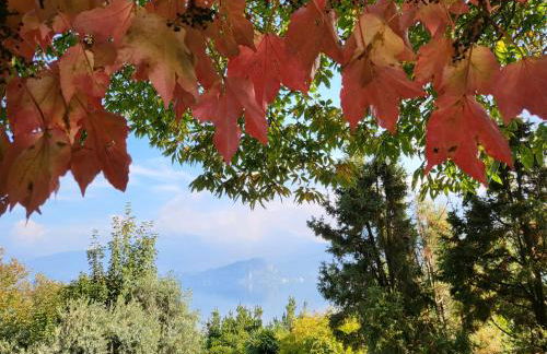 Bella Vista Lago Maggiore Einzigartiger Blick 365 Tagen - Foto 68