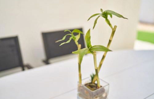 Ferluán II - Foto 17