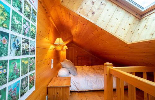 Dryades G20 - Foto 15