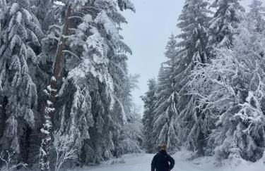 La Grange Saillant Saint Nectaire - Foto 61