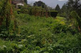 Bancal de Los Pérez - Foto 39