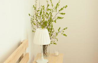 W Pelniku - Photo 13