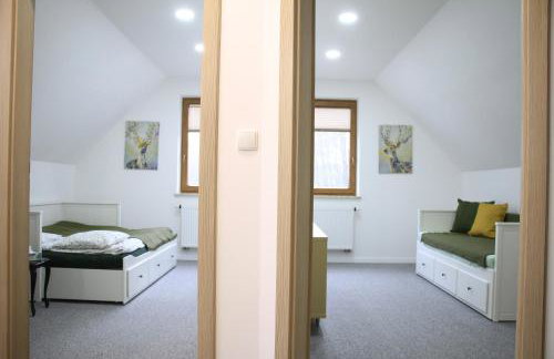 Danielówka w lesie - Foto 7