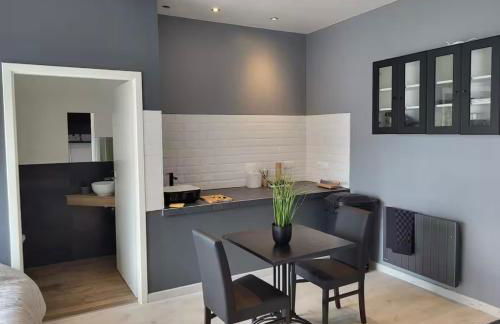 Le Grand Studio Centre Gare - Foto 2