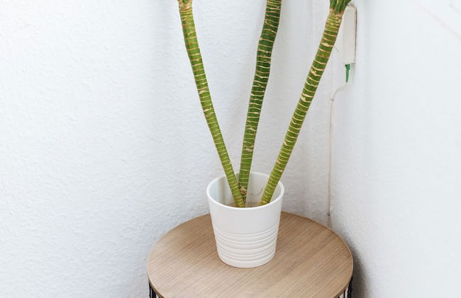 Light of Sevilla 2 - Foto 16