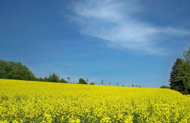 "weserbergland" Modern Retreat - Foto 12