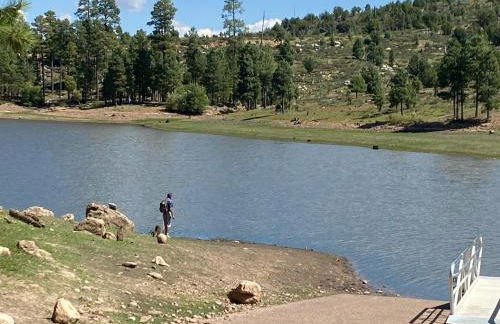 LilyBear Cabin - Foto 23