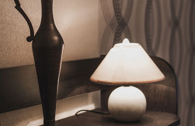 Lakshmi Alekseevskaya - Photo 18