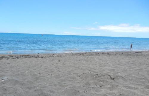 La Marisma - Photo 42