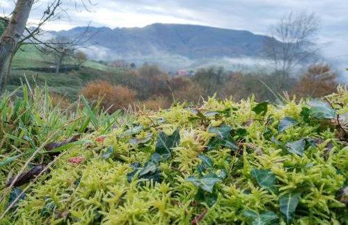 El Balcon del Horreo - Foto 22