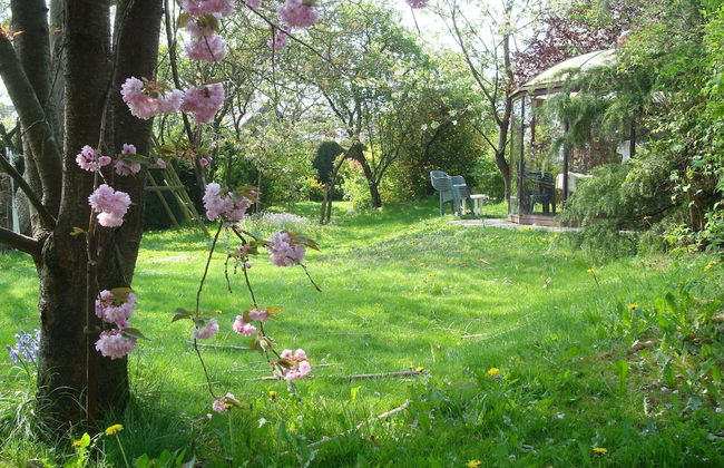 Holiday Home in Ronchampay - Photo 36