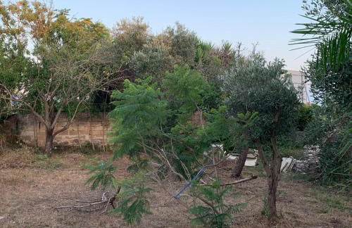 Relax Torre lapillo - Foto 6