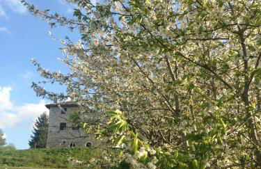 Agriturismo La Commenda-Adults Only - Foto 71