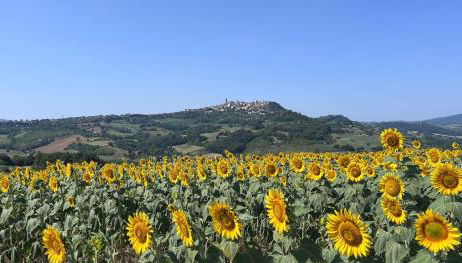 Colle Costanza - Foto 4