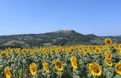 Colle Costanza - Foto 4