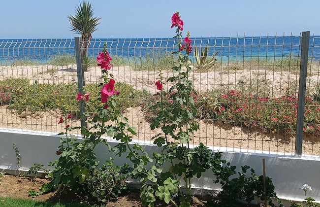 Beach Front Luxury Living Apartment - Foto 42